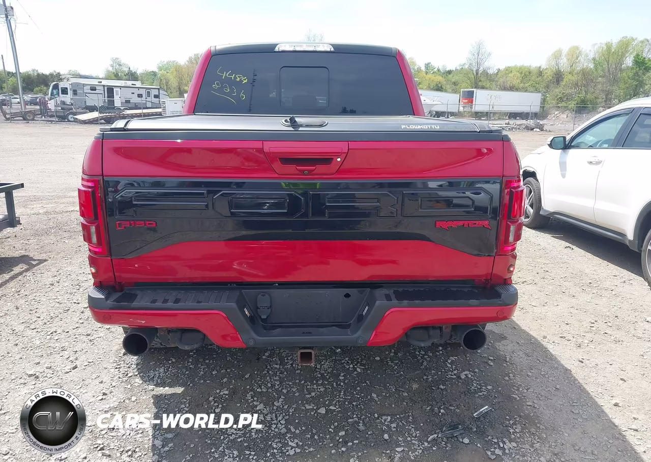 2020 Ford F-150 Raptor VIN:1FTFW1RG9LFA69074 - 17