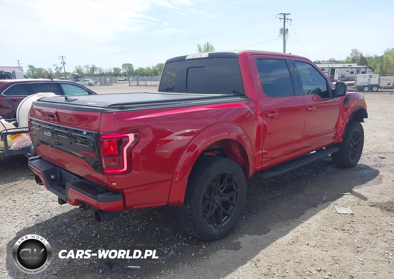 2020 Ford F-150 Raptor VIN:1FTFW1RG9LFA69074 - 4
