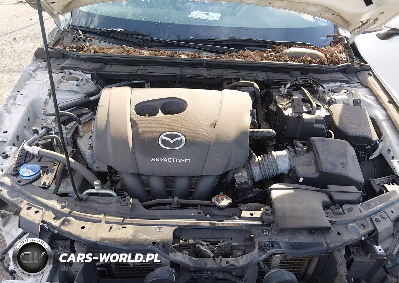 2020 Mazda Mazda3 VIN:JM1BPABL1L1165233 - 10