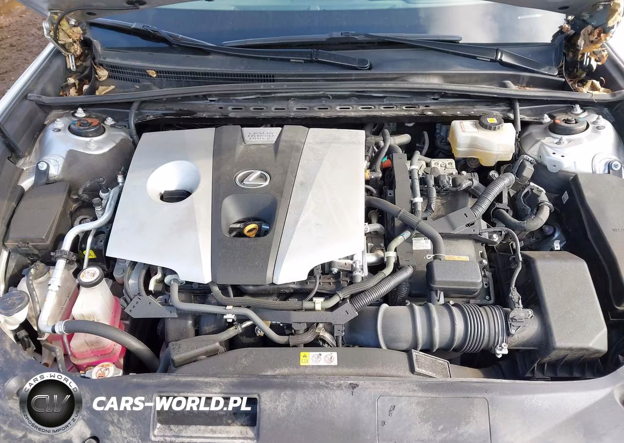 2020 Lexus Es 300H VIN:58AD21B1XLU008647 - 10