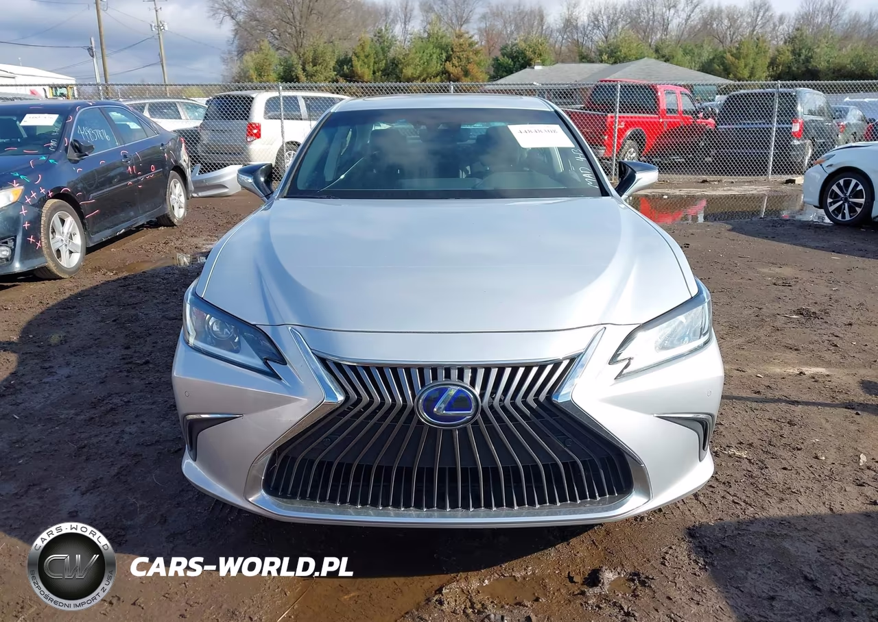 2020 Lexus Es 300H VIN:58AD21B1XLU008647 - 13