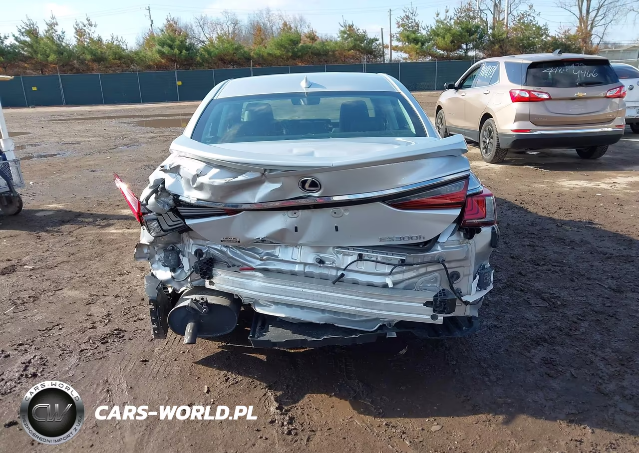 2020 Lexus Es 300H VIN:58AD21B1XLU008647 - 17