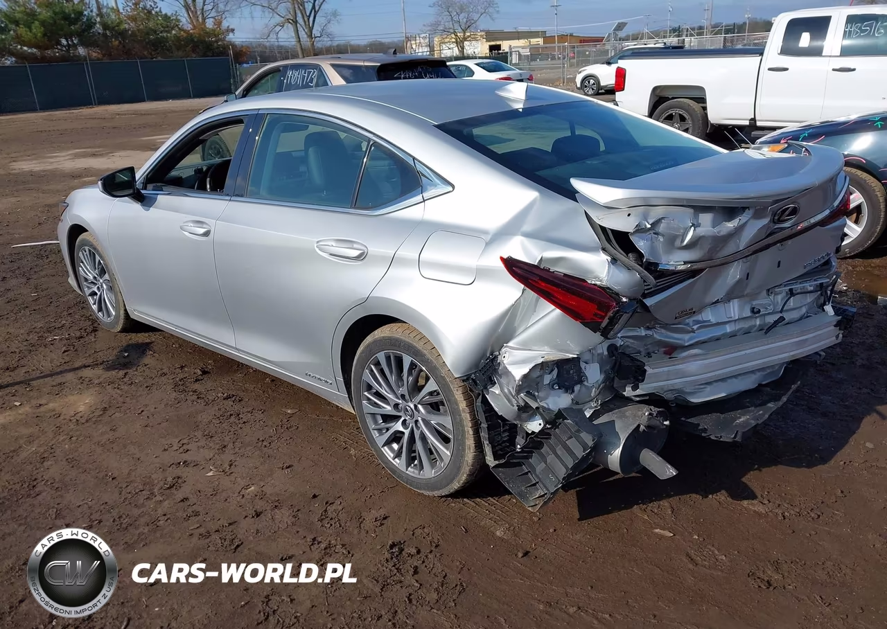 2020 Lexus Es 300H VIN:58AD21B1XLU008647 - 3