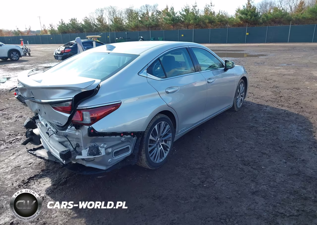 2020 Lexus Es 300H VIN:58AD21B1XLU008647 - 4