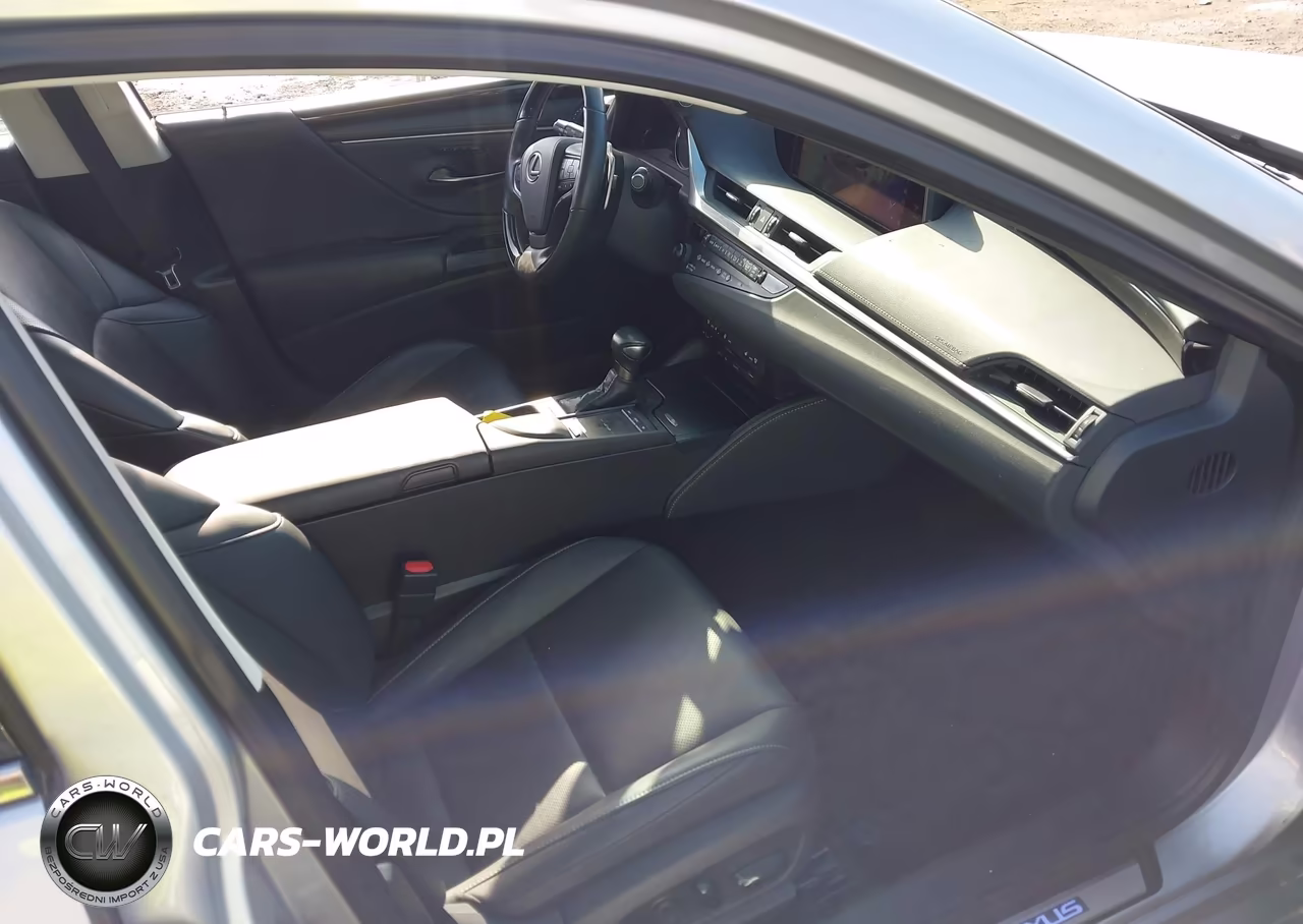 2020 Lexus Es 300H VIN:58AD21B1XLU008647 - 5