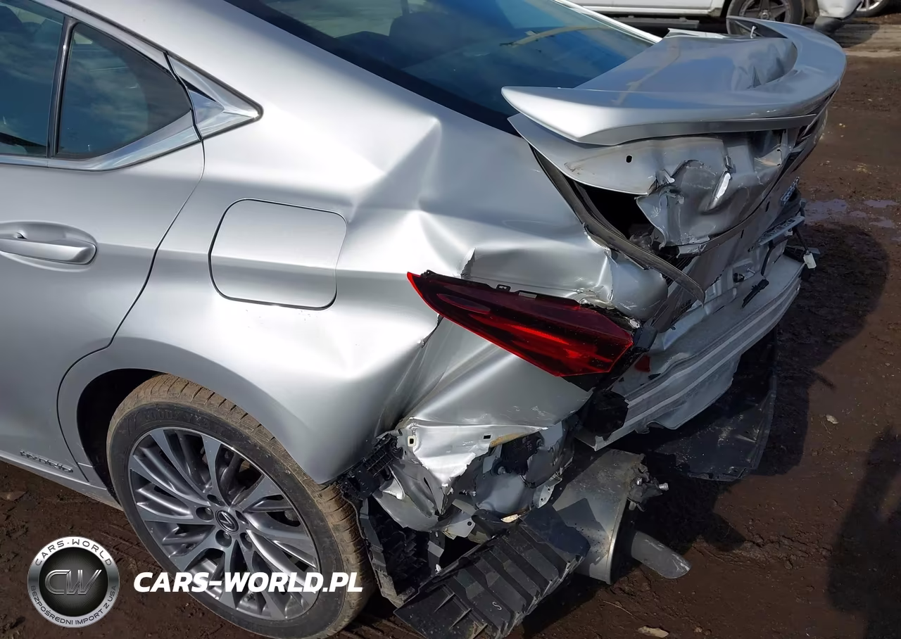 2020 Lexus Es 300H VIN:58AD21B1XLU008647 - 6