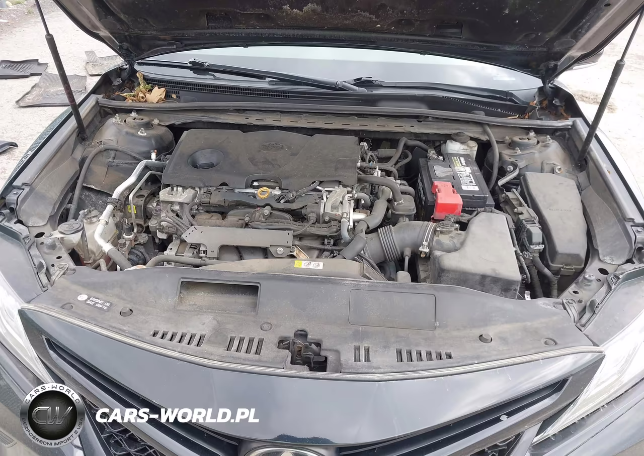 2019 Toyota Camry Xse VIN:4T1B61HK3KU710603 - 10
