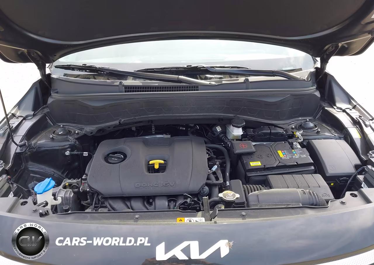 2024 Kia Seltos Ex VIN:KNDERCAA1R7568864 - 10