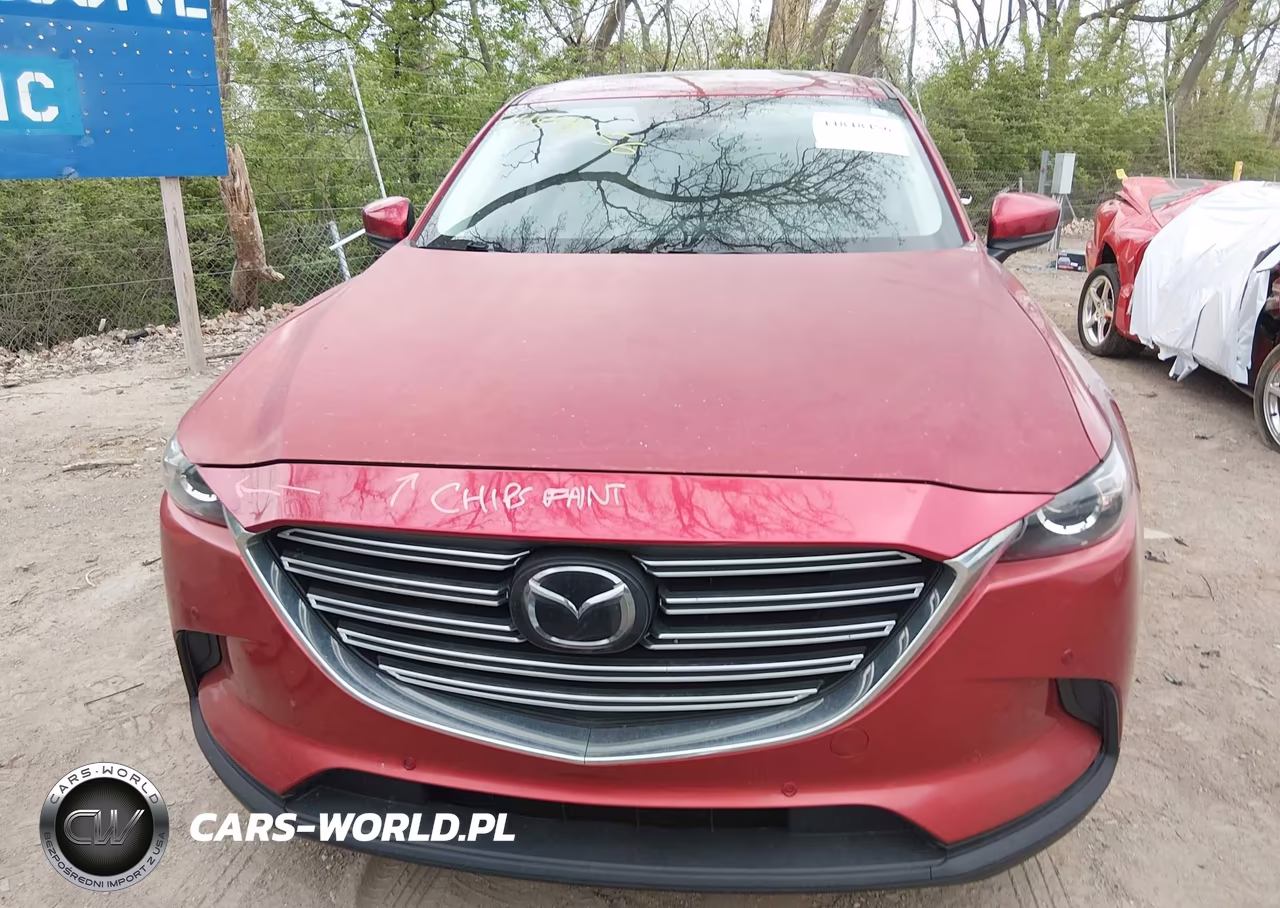 2019 Mazda Cx-9 Touring VIN:JM3TCACY6K0319215 - 12