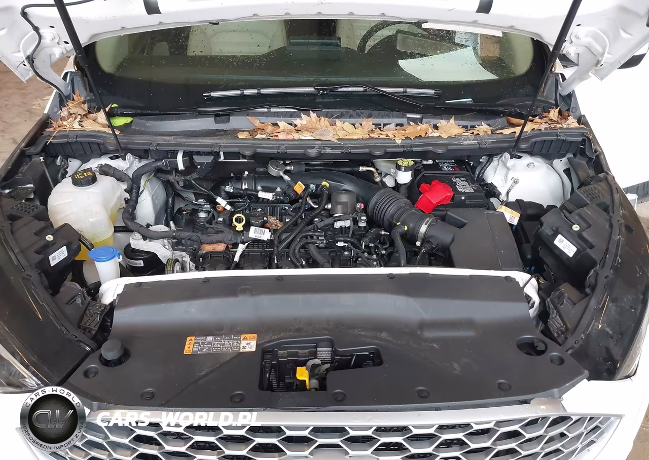 2024 Ford Edge Sel VIN:2FMPK4J94RBB13812 - 10