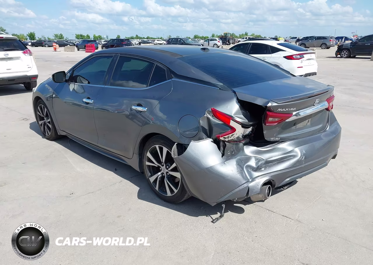 2016 Nissan Maxima 3.5 Platinum VIN:1N4AA6AP2GC903765 - 3