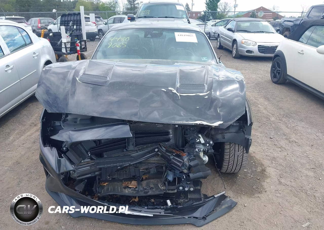 2022 Ford Mustang Gt Premium Fastback VIN:1FA6P8CFXN5134003 - 13