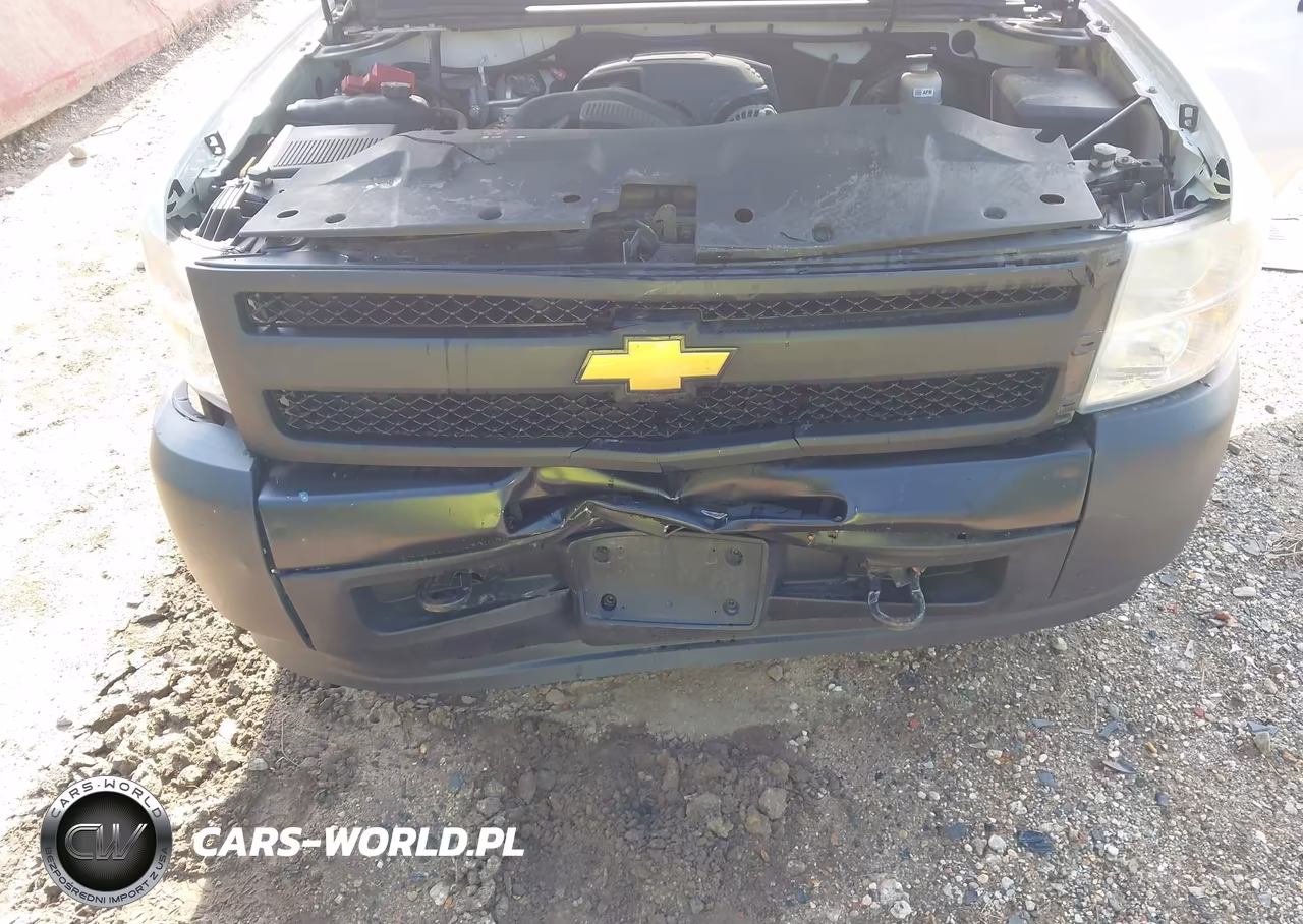 2011 Chevrolet Silverado 1500 Work Truck VIN:1GCNKPEA1BZ257337 - 10