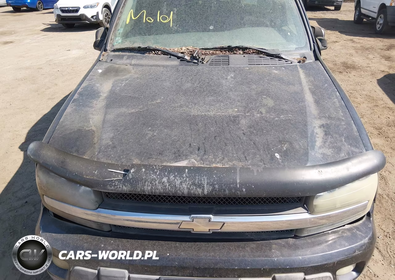 2002 Chevrolet Trailblazer Lt VIN:1GNDT13S622337752 - 10