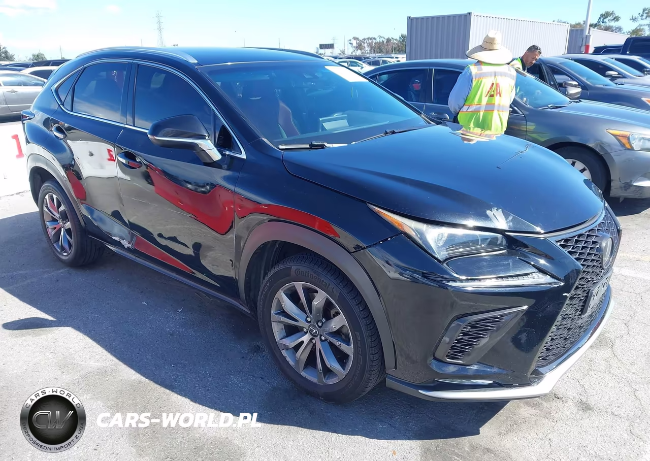 2019 Lexus Nx 300 F Sport
