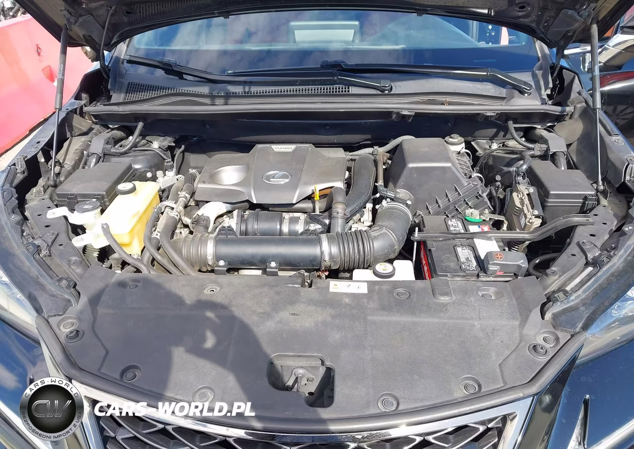 2019 Lexus Nx 300 F Sport VIN:JTJYARBZ4K2120484 - 10