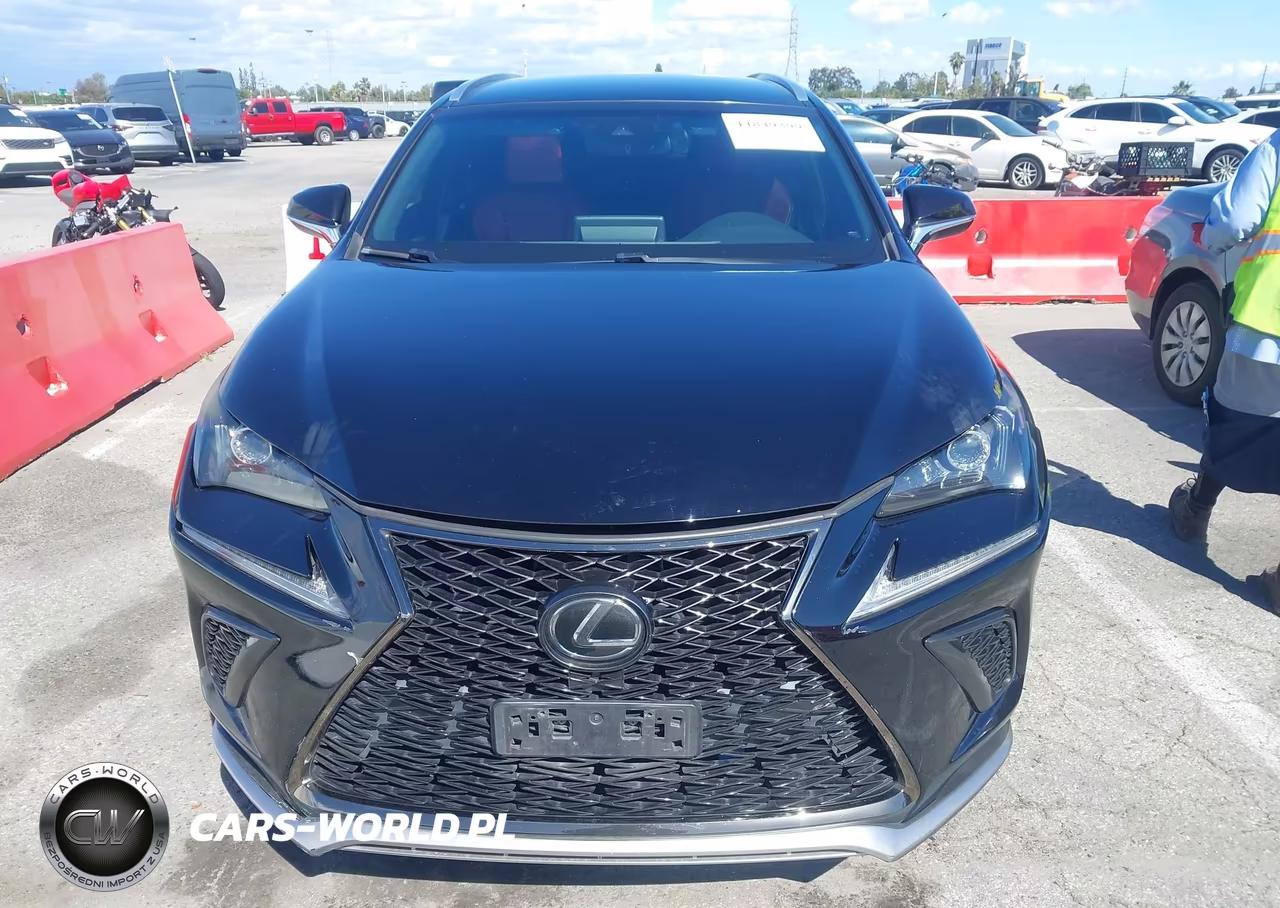 2019 Lexus Nx 300 F Sport VIN:JTJYARBZ4K2120484 - 12