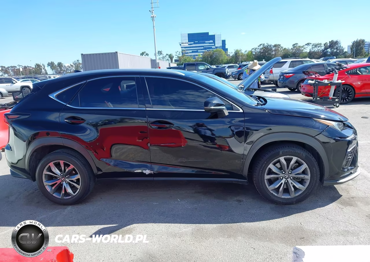 2019 Lexus Nx 300 F Sport VIN:JTJYARBZ4K2120484 - 13