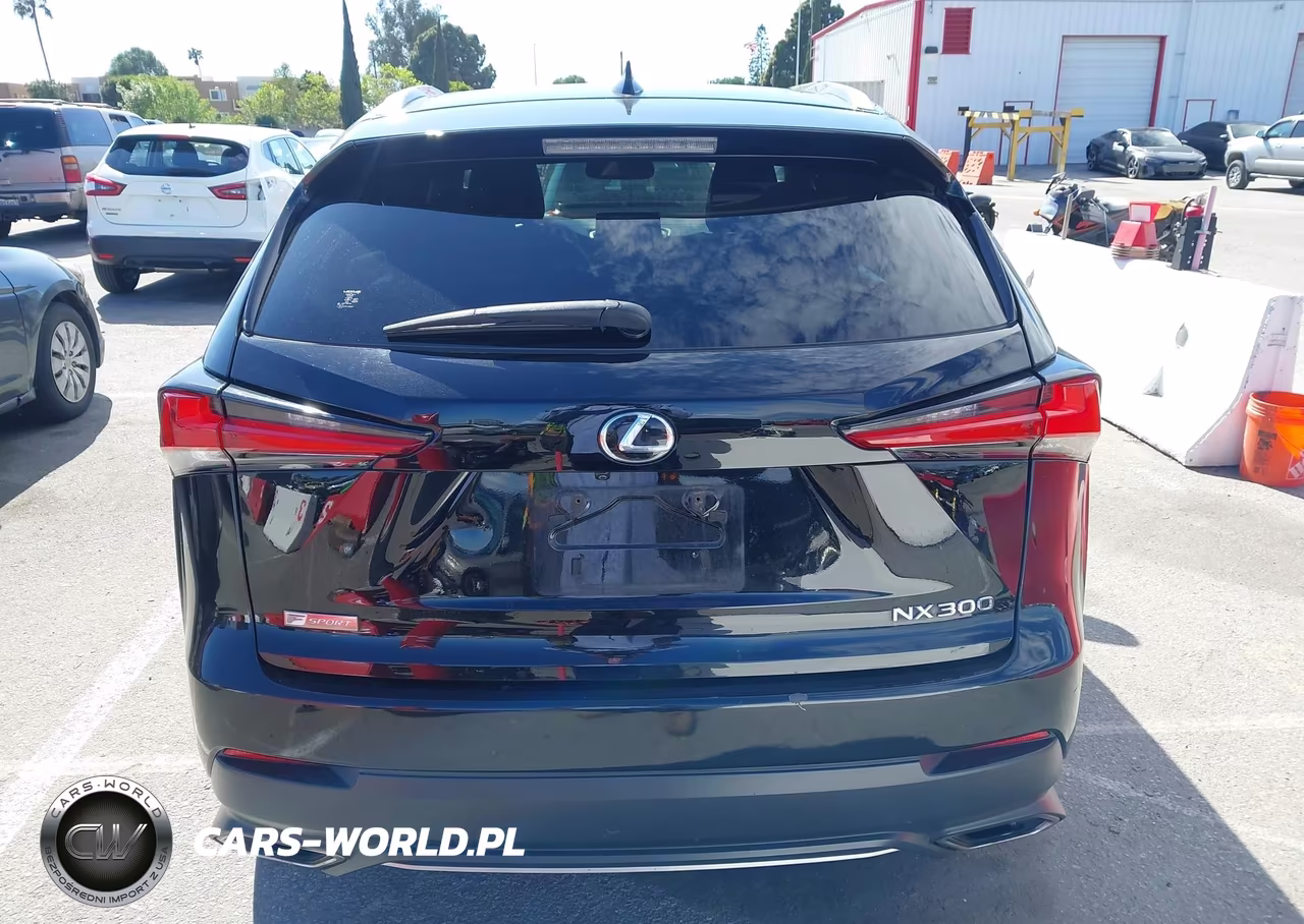 2019 Lexus Nx 300 F Sport VIN:JTJYARBZ4K2120484 - 16