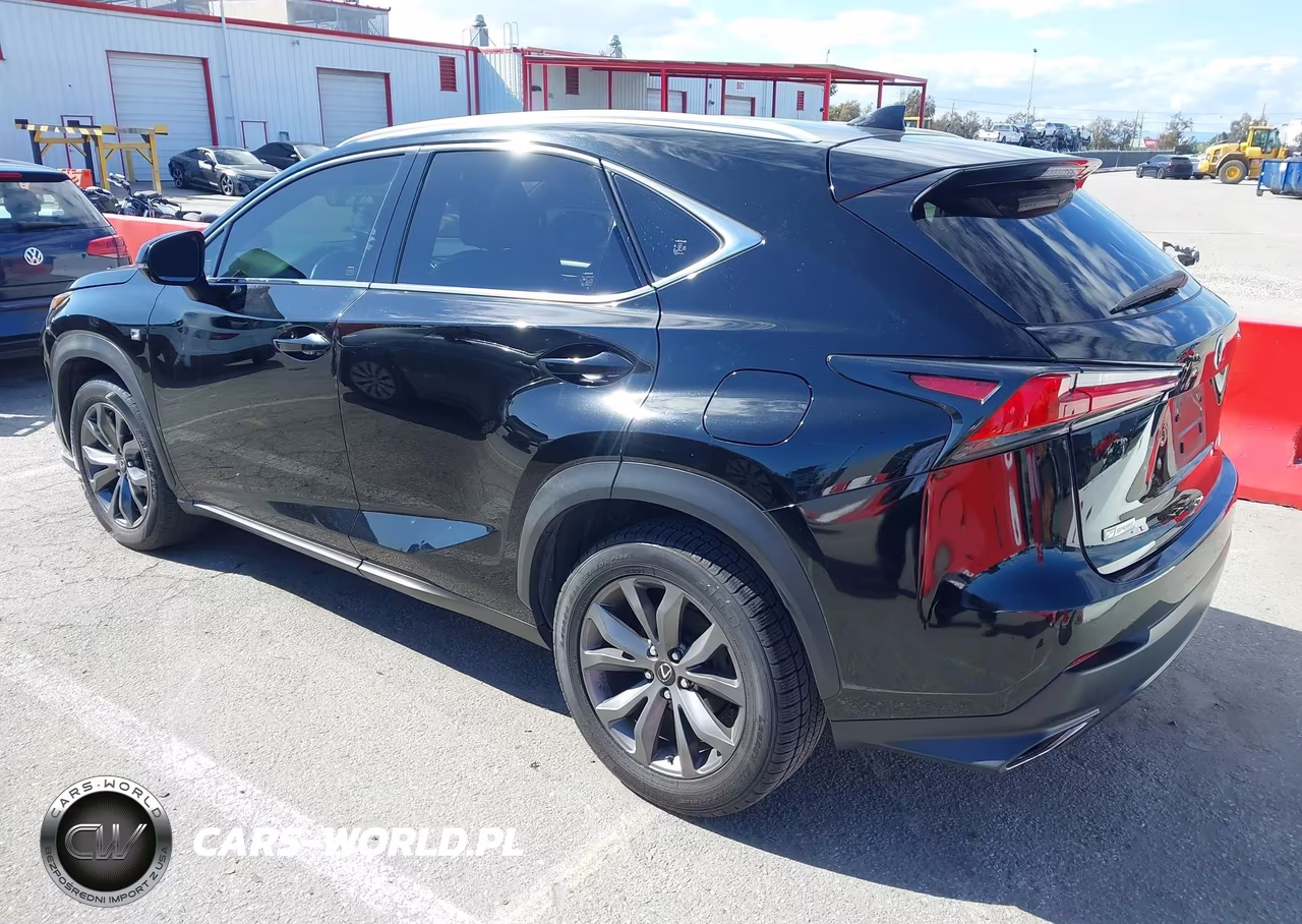 2019 Lexus Nx 300 F Sport VIN:JTJYARBZ4K2120484 - 3