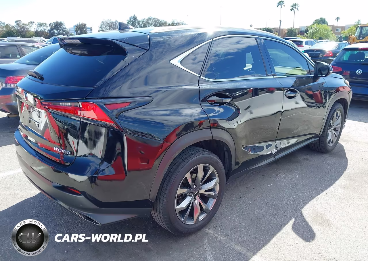 2019 Lexus Nx 300 F Sport VIN:JTJYARBZ4K2120484 - 4