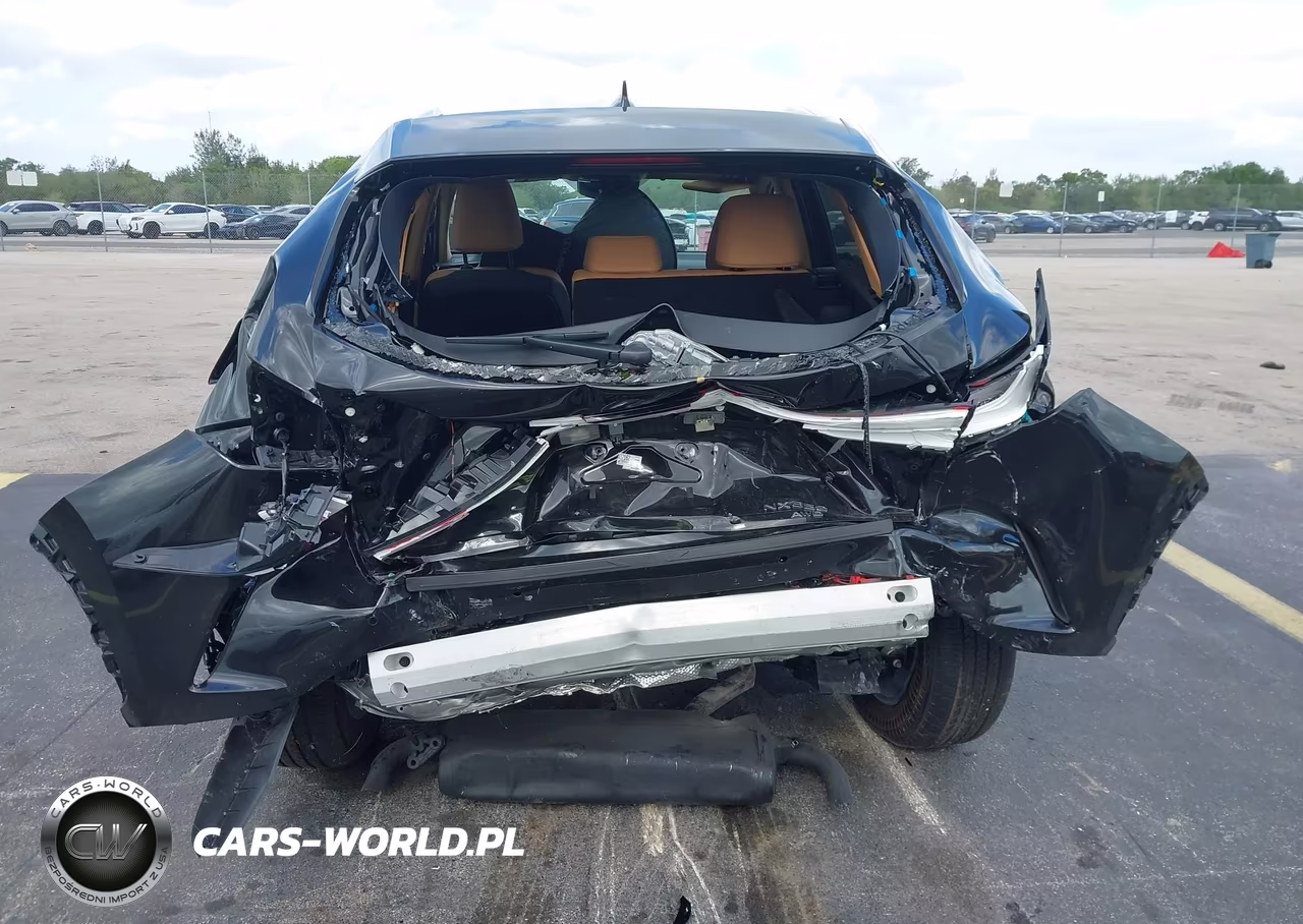 2026 Lexus Nx 350 VIN:2T2AGCEZ2TC105069 - 6