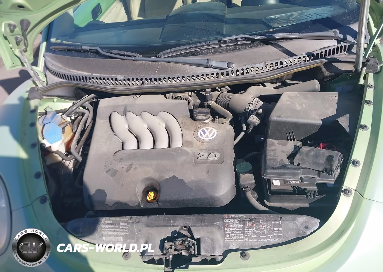 2002 Volkswagen New Beetle Gls VIN:3VWCK21C92M441652 - 10