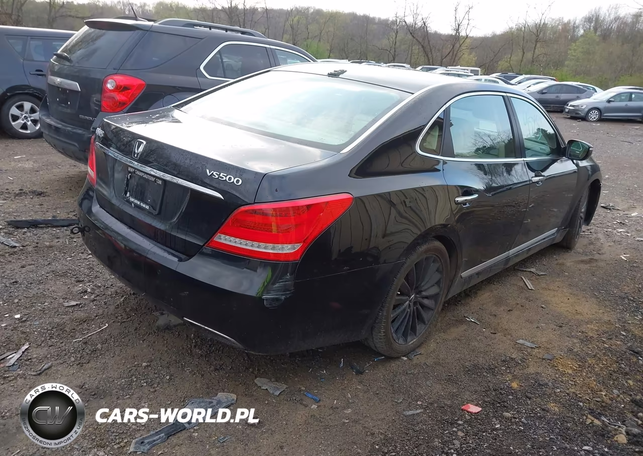2016 Hyundai Equus Signature VIN:KMHGH4JH0GU102464 - 4