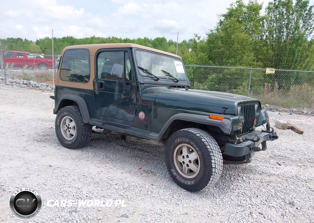 1994 Jeep Wrangler - Yj Sahara