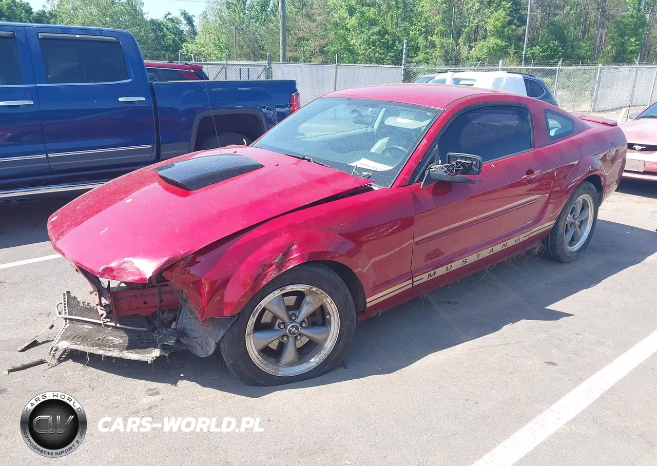2008 Ford Mustang V6 Deluxe-V6 Premium VIN:1ZVHT80N185140736 - 2