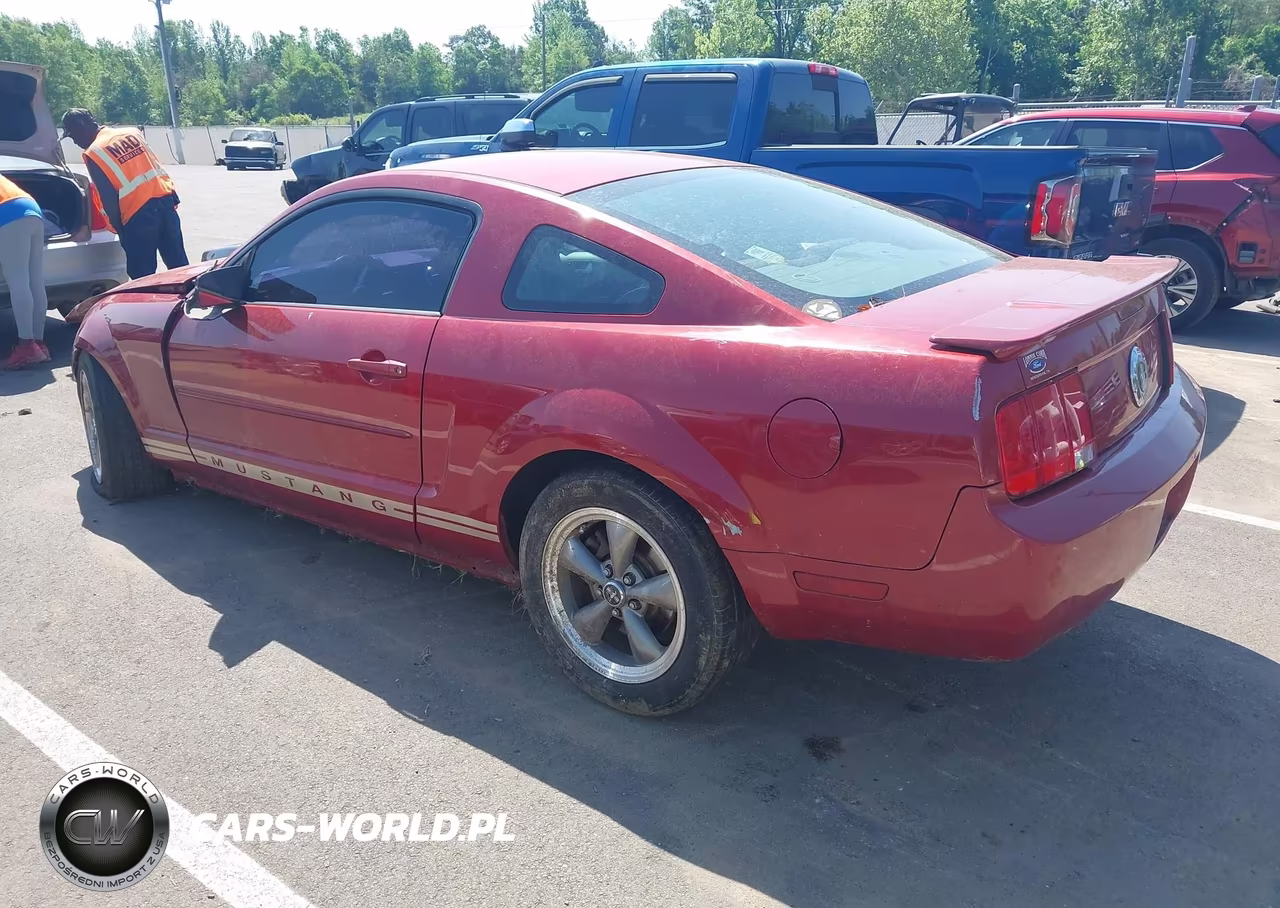 2008 Ford Mustang V6 Deluxe-V6 Premium VIN:1ZVHT80N185140736 - 3