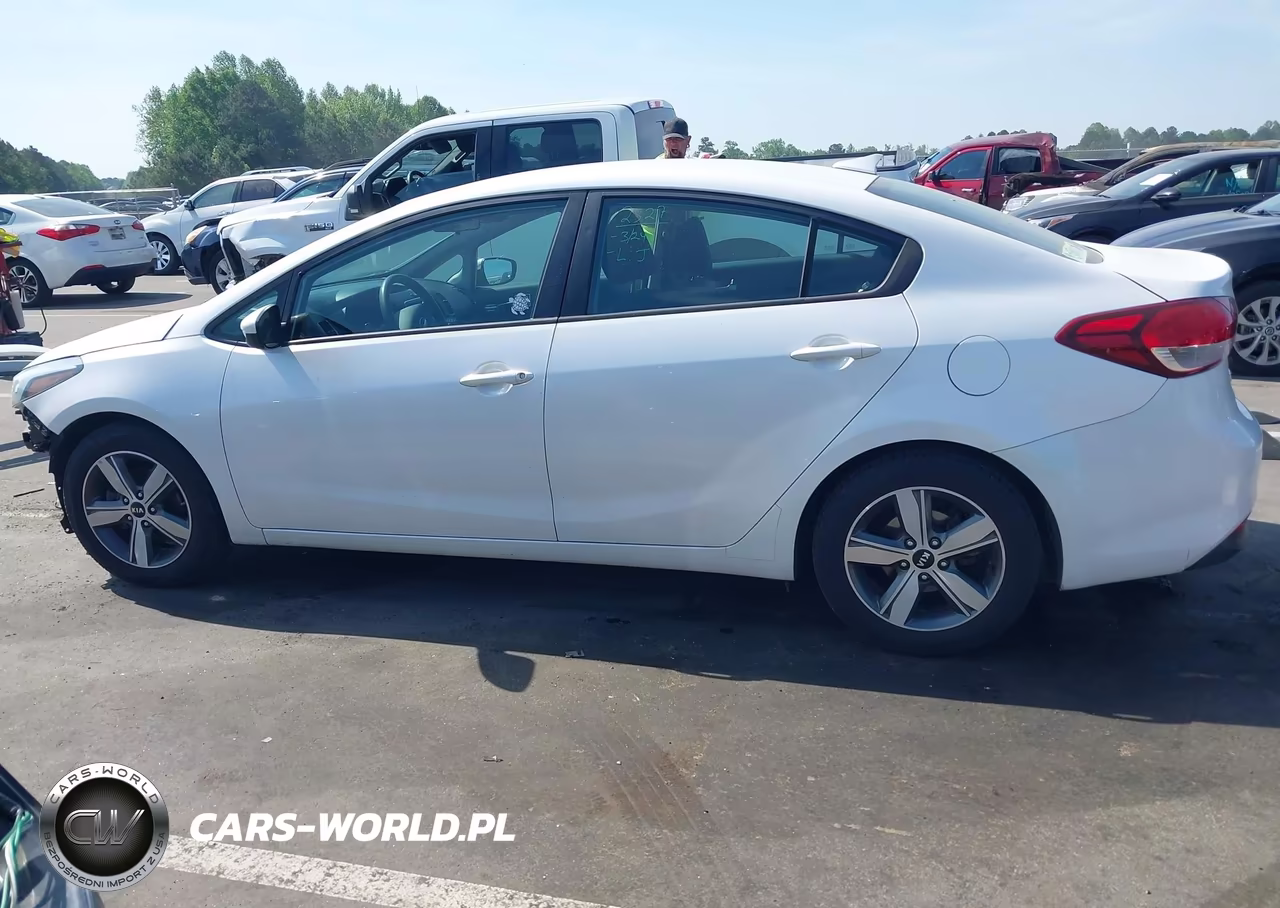 2018 Kia Forte Lx VIN:3KPFL4A74JE200666 - 15