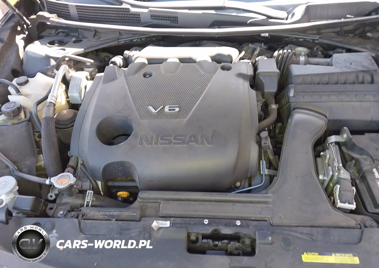 2019 Nissan Maxima 3.5 Sl VIN:1N4AA6AV9KC377125 - 10