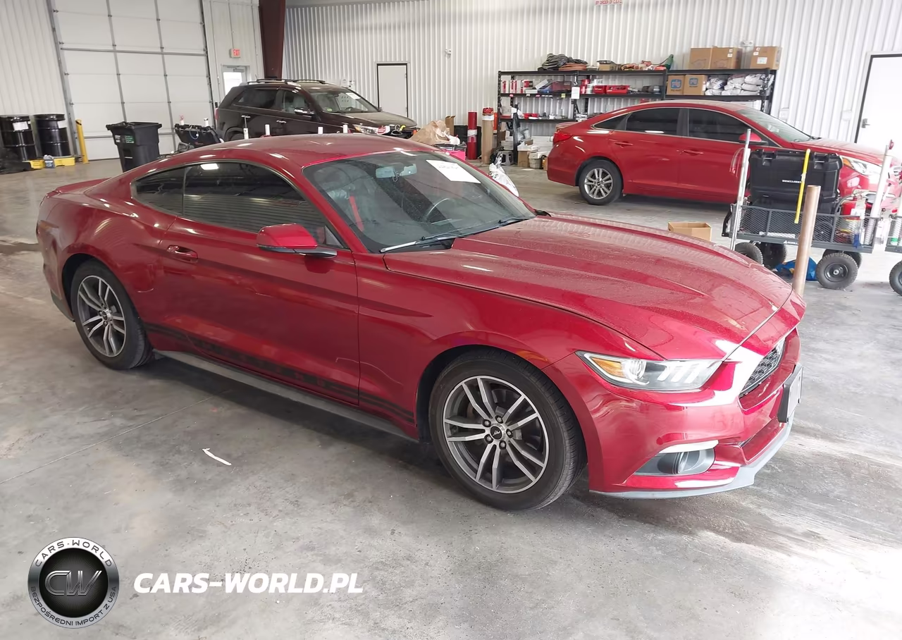2015 Ford Mustang Ecoboost VIN:1FA6P8TH3F5393080 - 13