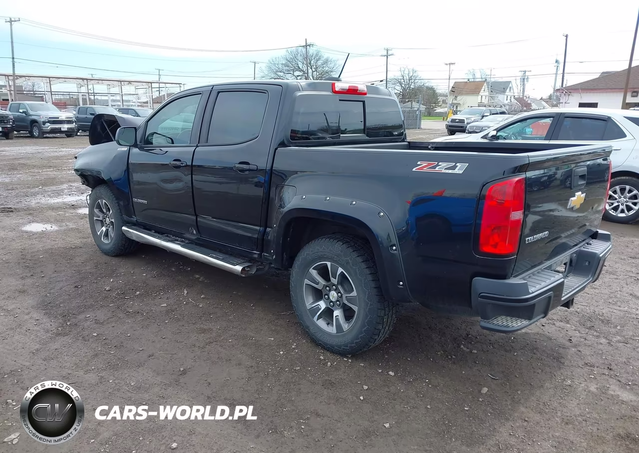 2017 Chevrolet Colorado Z71 VIN:1GCPTDE13H1195113 - 3