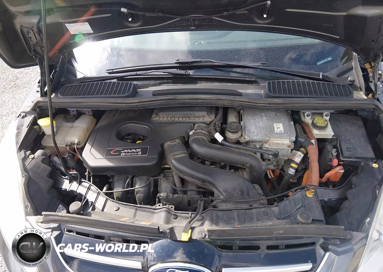 2016 Ford C-Max Energi Sel VIN:1FADP5CU5GL113479 - 10