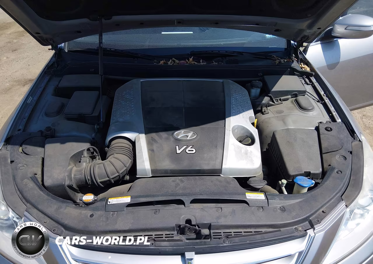2009 Hyundai Genesis 3.8 VIN:KMHGC46E49U043581 - 10