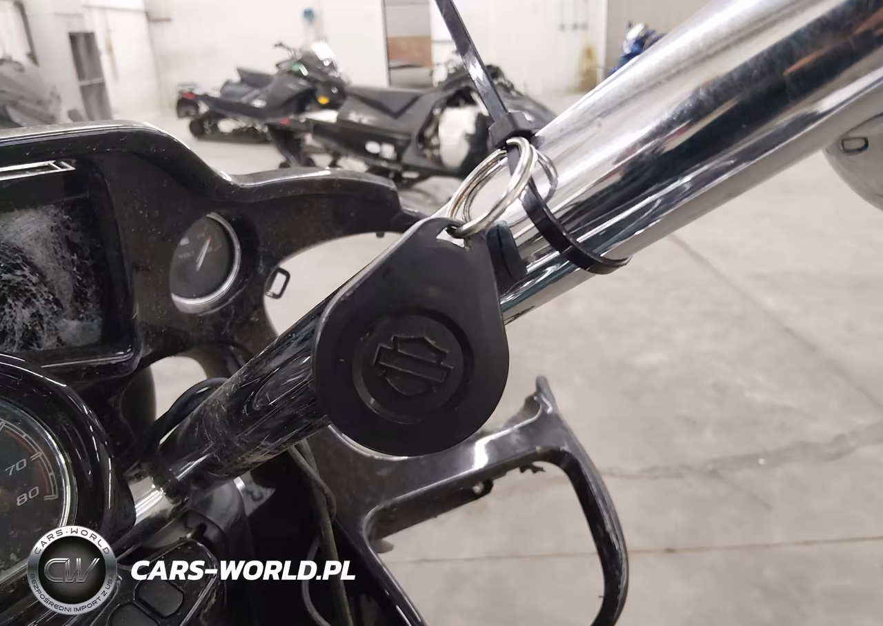 2021 Harley-Davidson Fltrxs VIN:1HD1KTP10MB665665 - 11