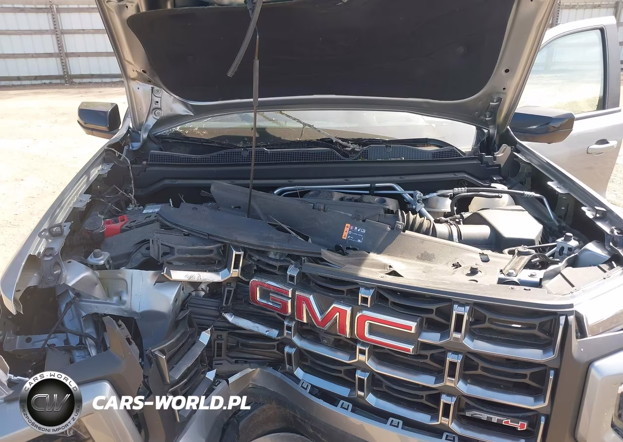 2025 GMC Canyon 4Wd At4 VIN:1GTP2DEKXS1206532 - 10