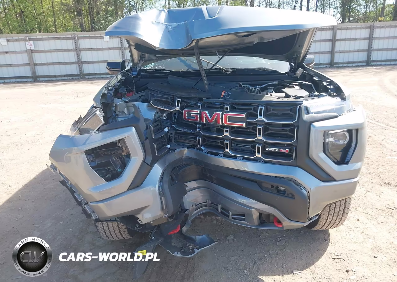 2025 GMC Canyon 4Wd At4 VIN:1GTP2DEKXS1206532 - 12