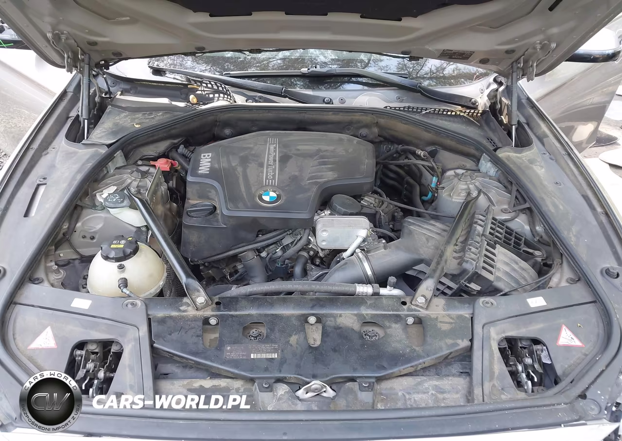2015 BMW 528I VIN:WBA5A5C54FD513287 - 10