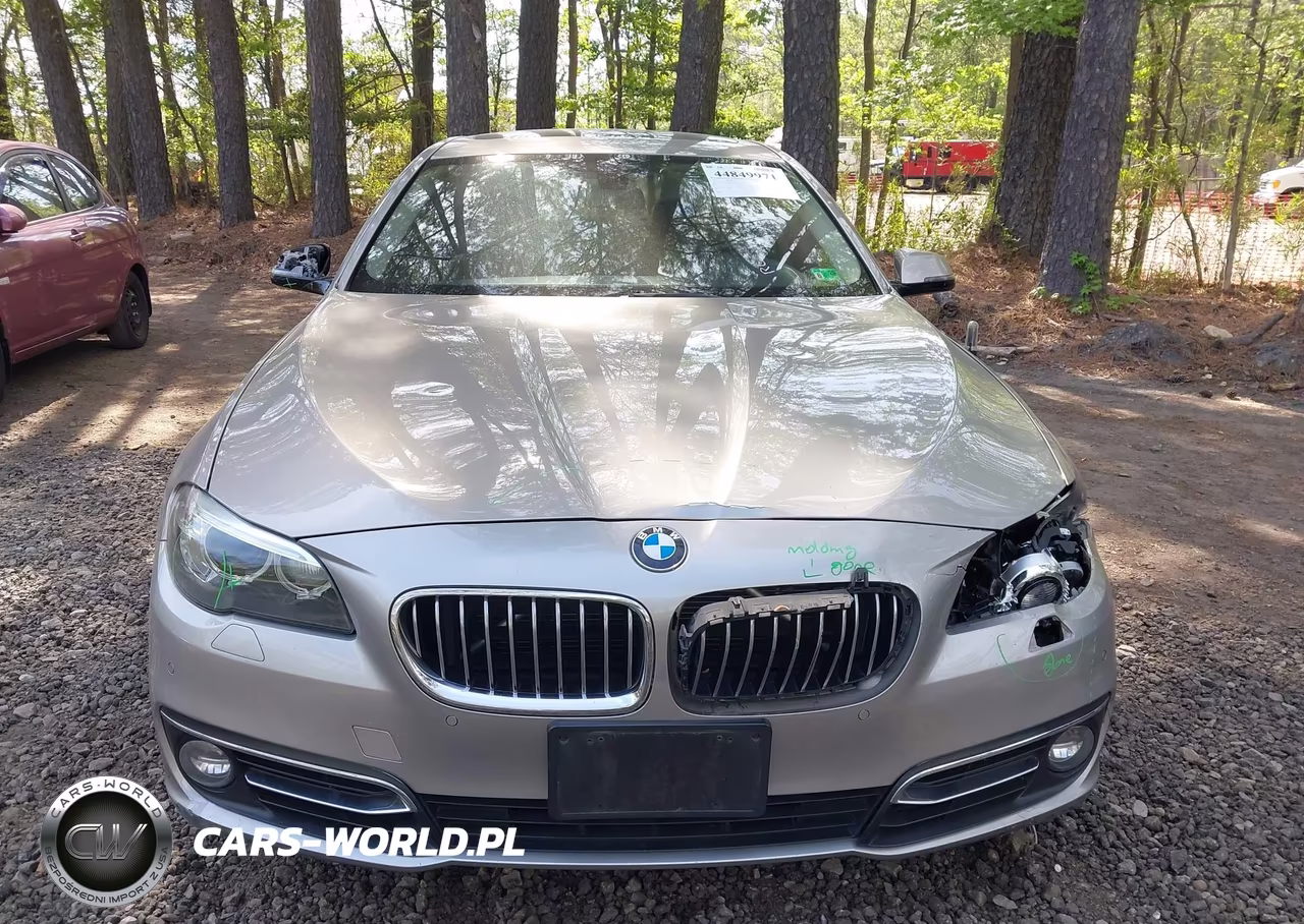 2015 BMW 528I VIN:WBA5A5C54FD513287 - 12