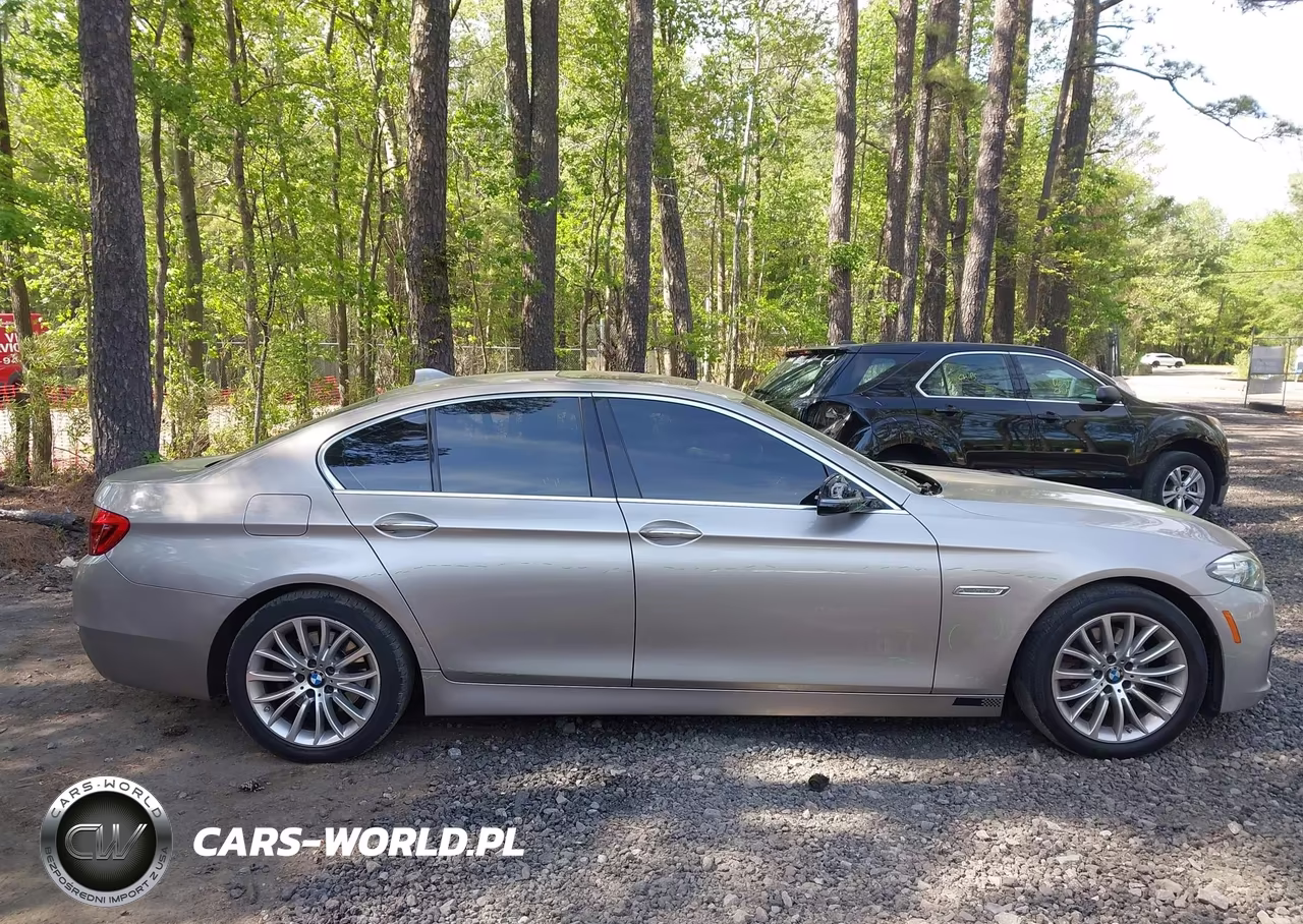 2015 BMW 528I VIN:WBA5A5C54FD513287 - 13