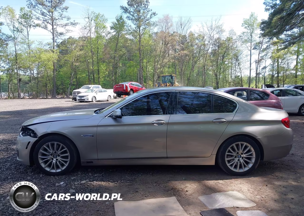 2015 BMW 528I VIN:WBA5A5C54FD513287 - 14