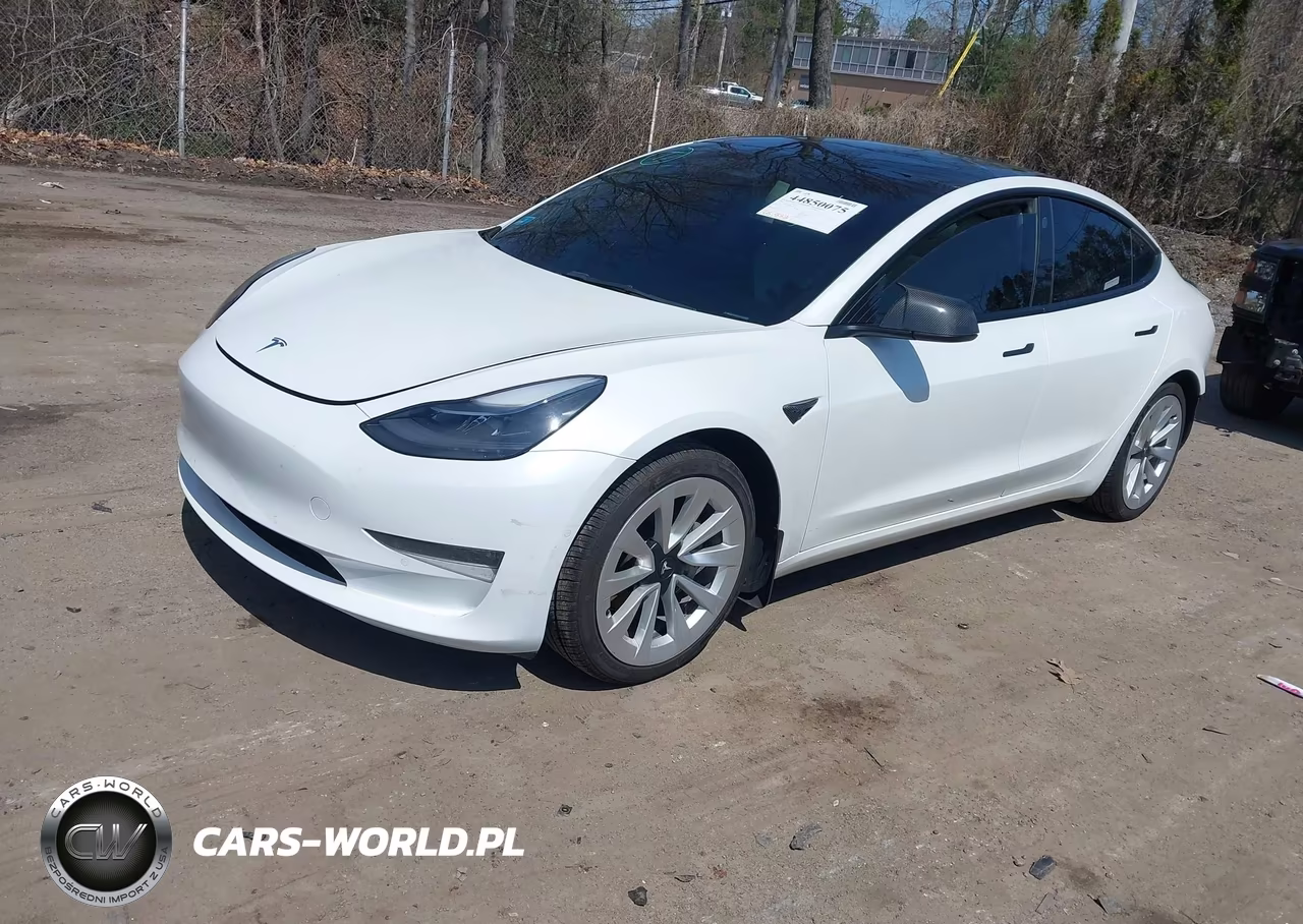 2022 Tesla Model 3 Long Range Dual Motor All-Wheel Drive VIN:5YJ3E1EB6NF164215 - 2
