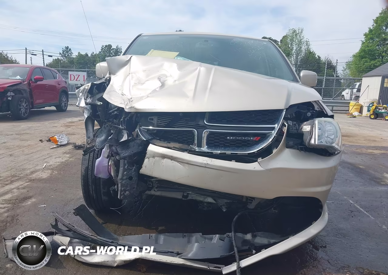 2014 Dodge Grand Caravan Se 30Th Anniversary VIN:2C4RDGBGXER365930 - 12