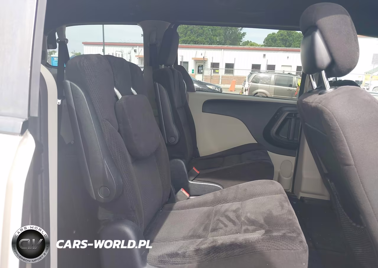 2014 Dodge Grand Caravan Se 30Th Anniversary VIN:2C4RDGBGXER365930 - 8