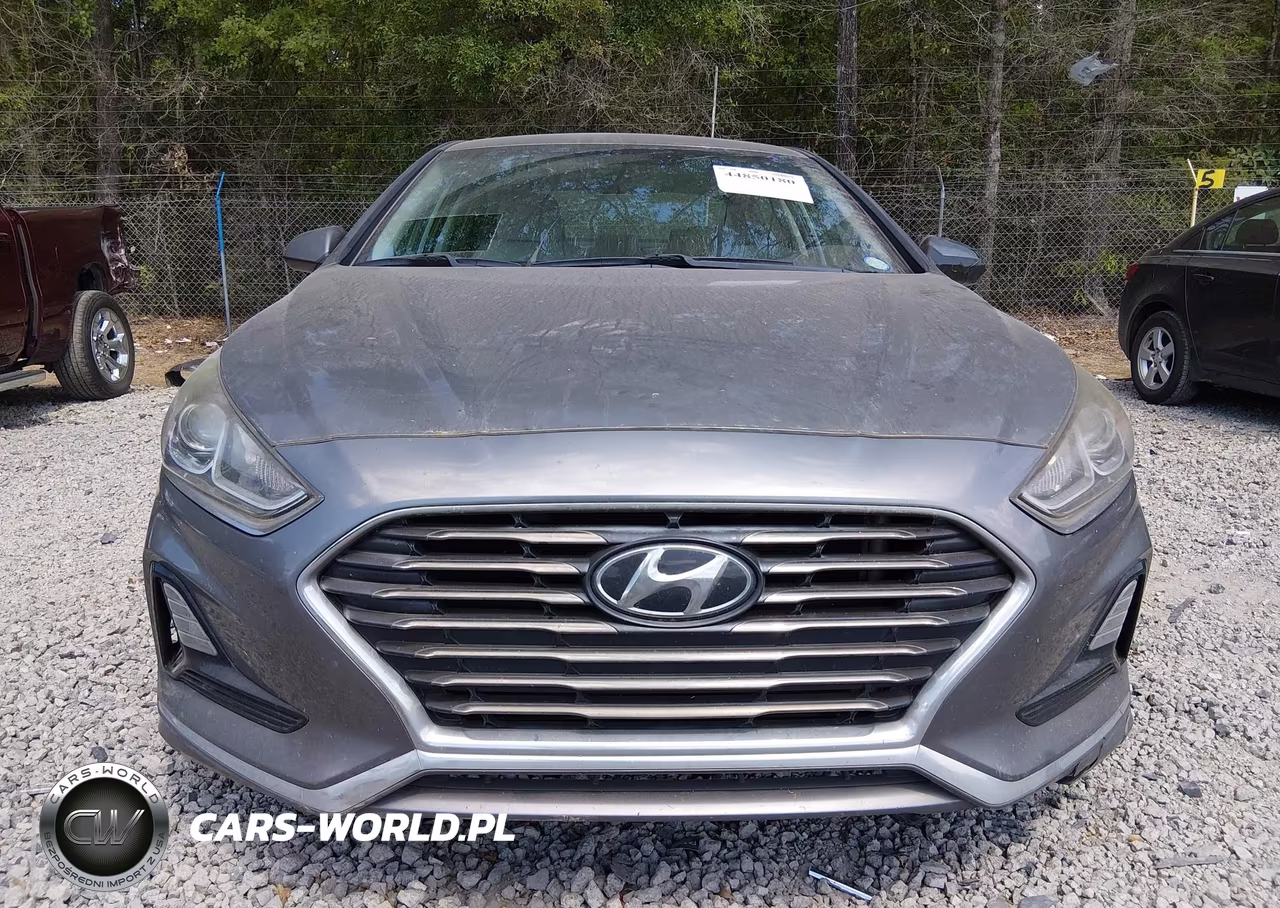 2019 Hyundai Sonata Se VIN:5NPE24AF7KH798044 - 12