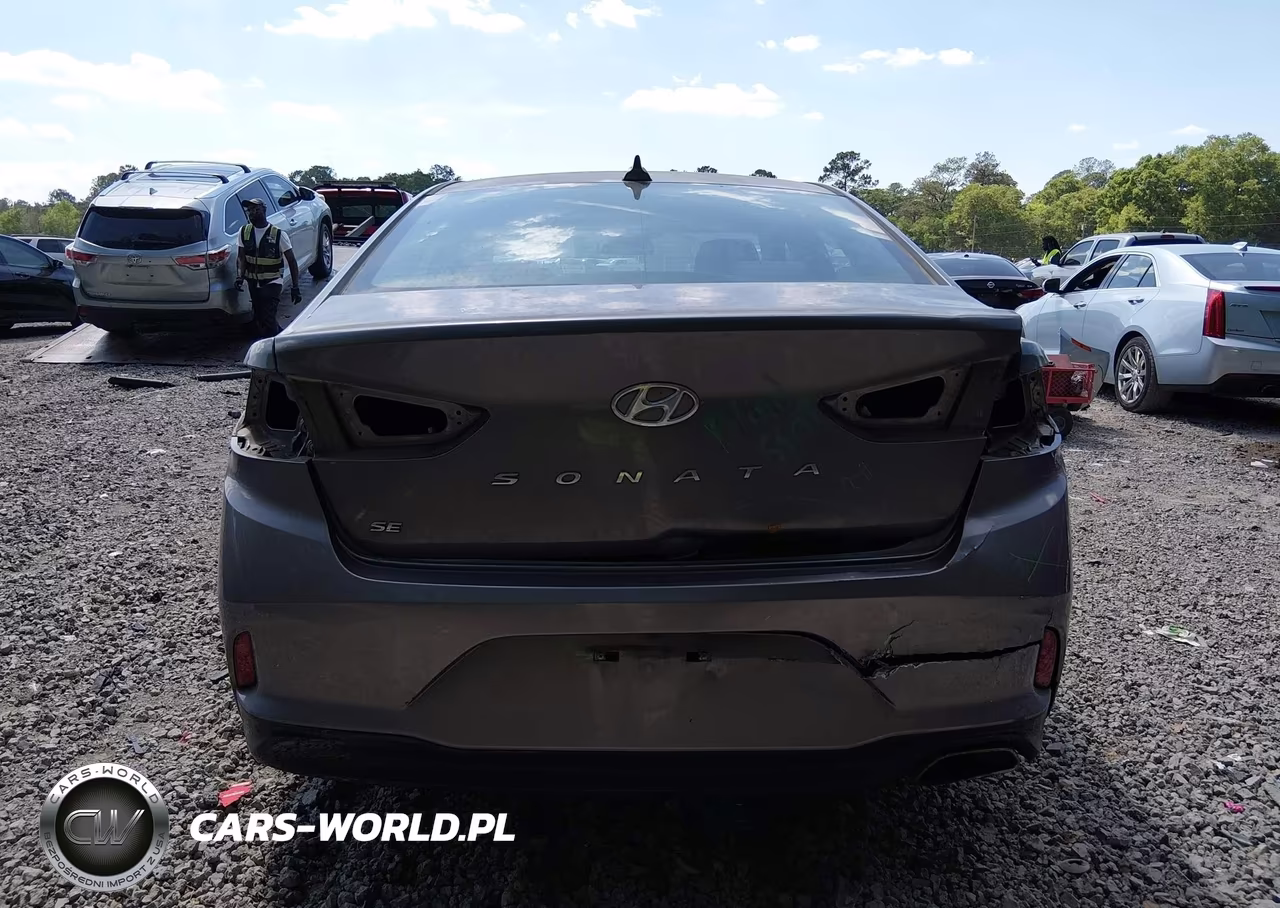 2019 Hyundai Sonata Se VIN:5NPE24AF7KH798044 - 16