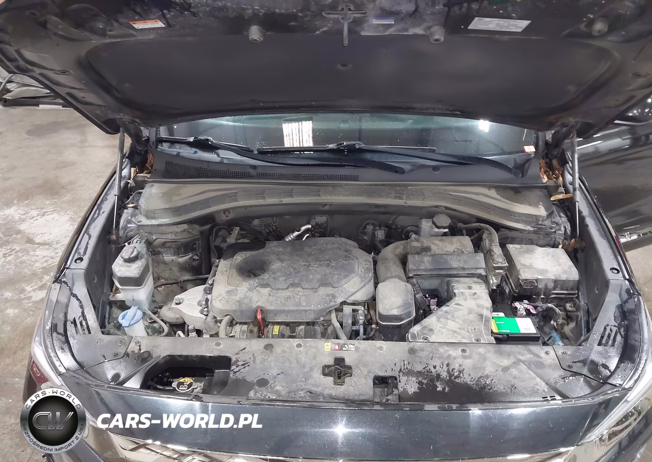 2019 Hyundai Santa Fe Se VIN:5NMS2CAD5KH112379 - 10